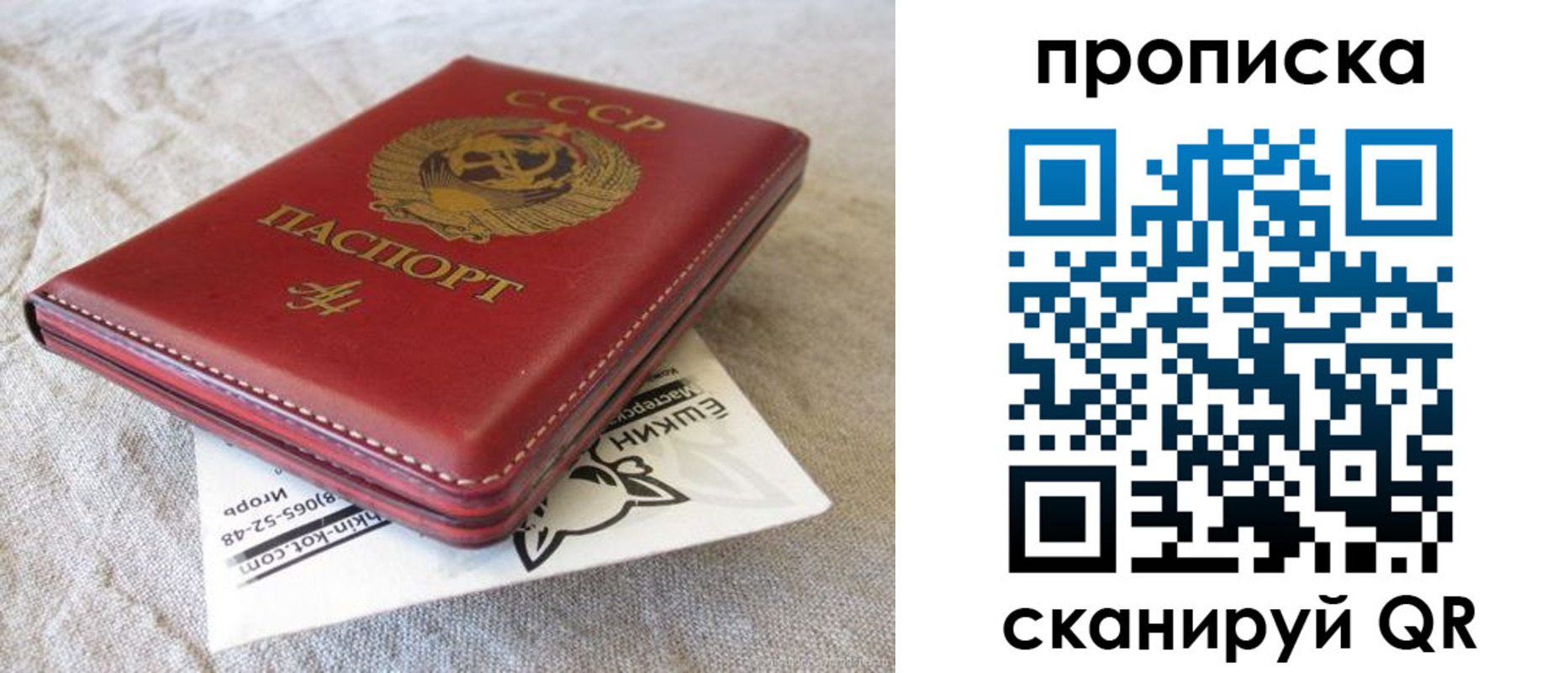 прописка для школы в Новопавловске